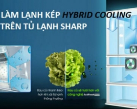 Tìm hiểu hệ thống làm lạnh kép Hybrid Cooling trên tủ lạnh Sharp